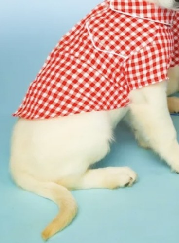 Doggy Parton Red Checkered Dog Shirt ~ MEDIUM ~ FAST SHIPPING ~ NEW WITH TAGS