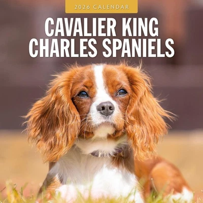 RED ROBIN PUBLISHING Cavalier King Charles Spaniels 2026 Square Wall Calendar