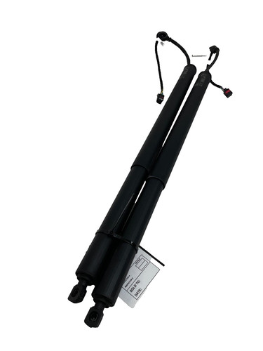 Maserati Grecale Folgore 2023-2026 Left Struts Set Photo - $220