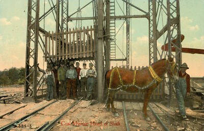Mining Coal c1920 Postcard Head of Shaft wth Horse, Miners, Rail Tracks AntiqueN