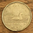 2003 NEW EFFIGY Canada one dollar $1 loonie coin **75% off combined shipping**