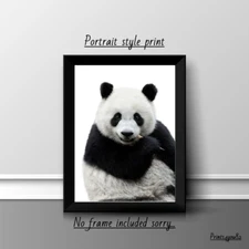 PANDA FUN A4 PRINT PICTURE POSTER WALL ART HOME DECOR UNFRAMED  NEW GIFT