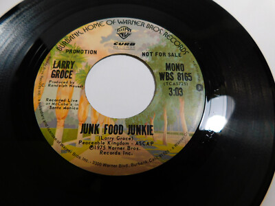 Larry Groce   Junk Food Junkie 1975 7'' Single PROMO  WBS 8165