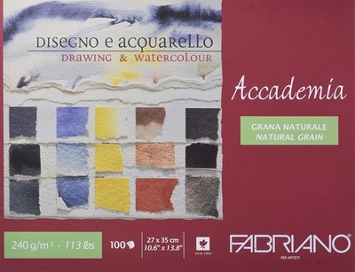 FABRIANO 100 Blatt Zeichenpapier Aquarellpapier für Pastellkreide Stifte B-Ware