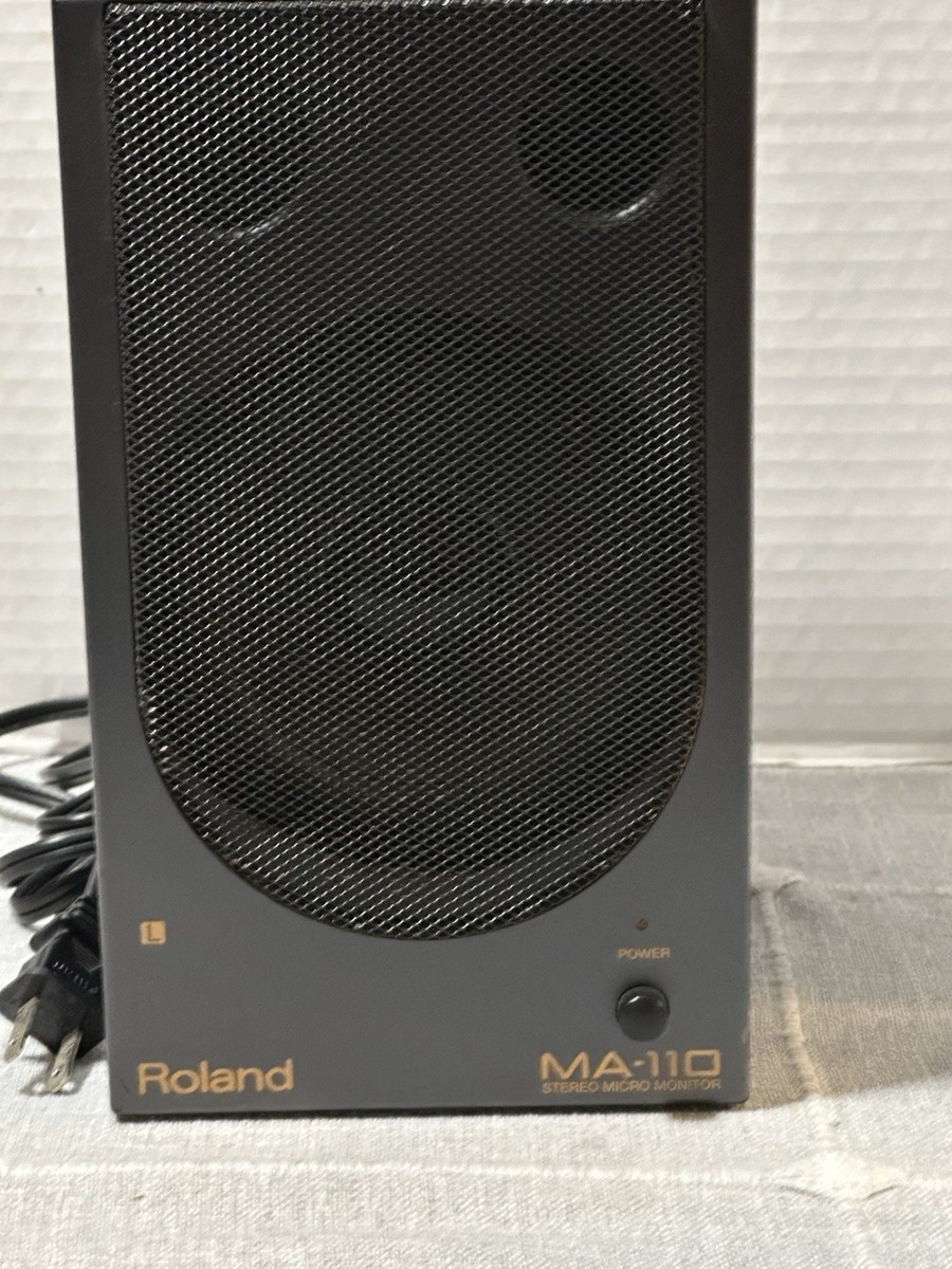 Roland MA-110 Micro Monitor Speaker (Single) | eBay