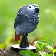 Animal Heavenly Body African Grey Parrot Psittacus erithacus Statue