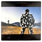 Pink Floyd Delicate Sound Of Thunder 1988 US 1st Press vinyl record LP NM M-