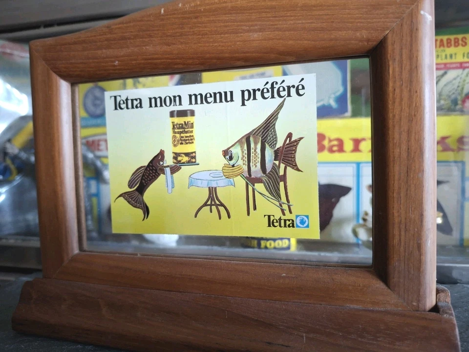 Adhesivo publicitario de alimentos para peces Tetramin vintage de acuario de los años 80 enmarcado sobremesa  Foto 2 de 4