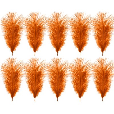Kleine/große Straußenfedern Feder Basteln Borte Hochzeit Tischdeko Haarspange