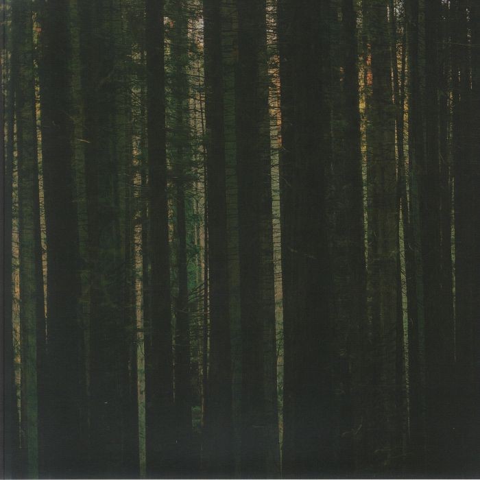 PAPER KITES - Evergreen - EVERGREEN MARBLED VINYL LP