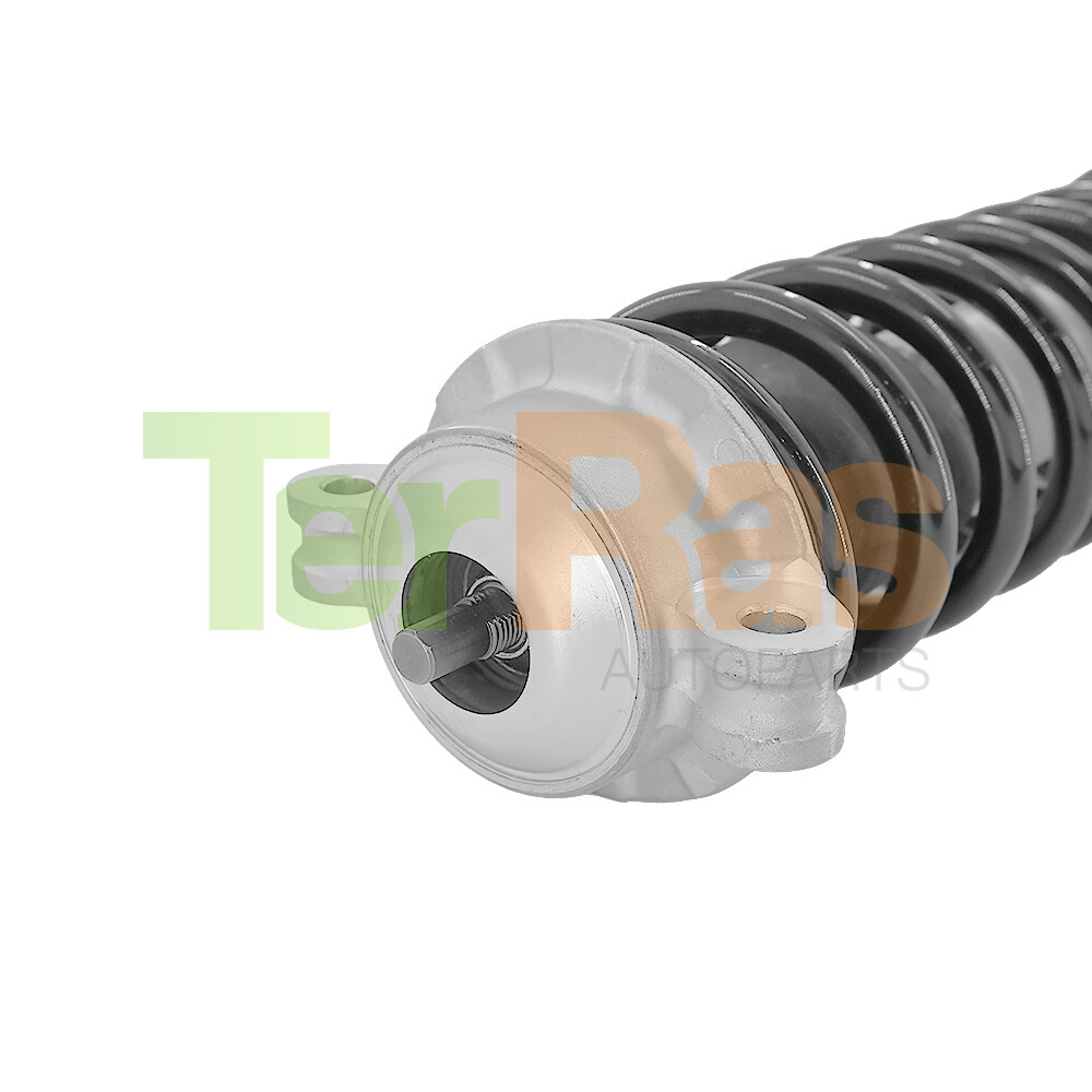 2x Rear L&R Coil Shock Struts Assys Fit Ferrari California F149 2008-2014 275920