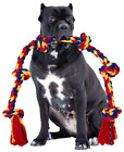 Interactive Dog Toys - Blincoo Elite 48 for Italian Cane Corso!