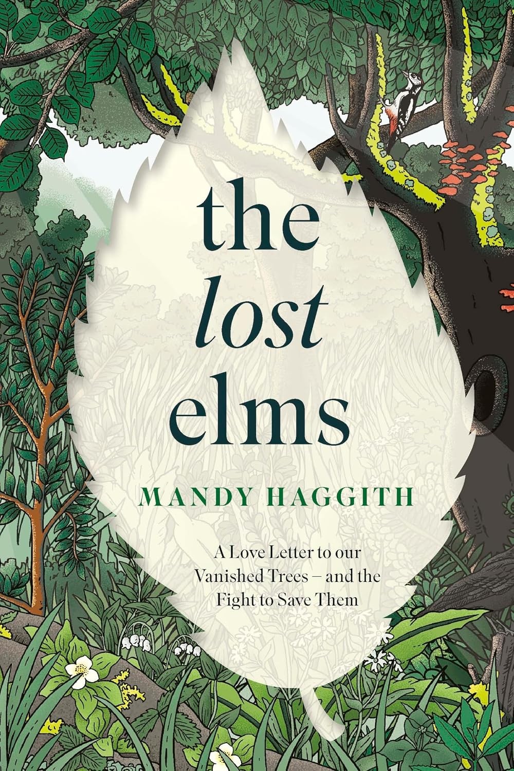 The Lost Elms: A Love Letter to Our Vanished Trees – and the Fight to Save Them: