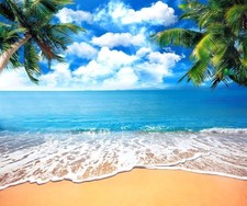 10x8ft Summer Hawaiian Beach Photography Backdrop Tropical Luau Party Decor