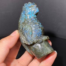217g Rare colorful labradorite parrot skull quartz crystal skull healing 1pc