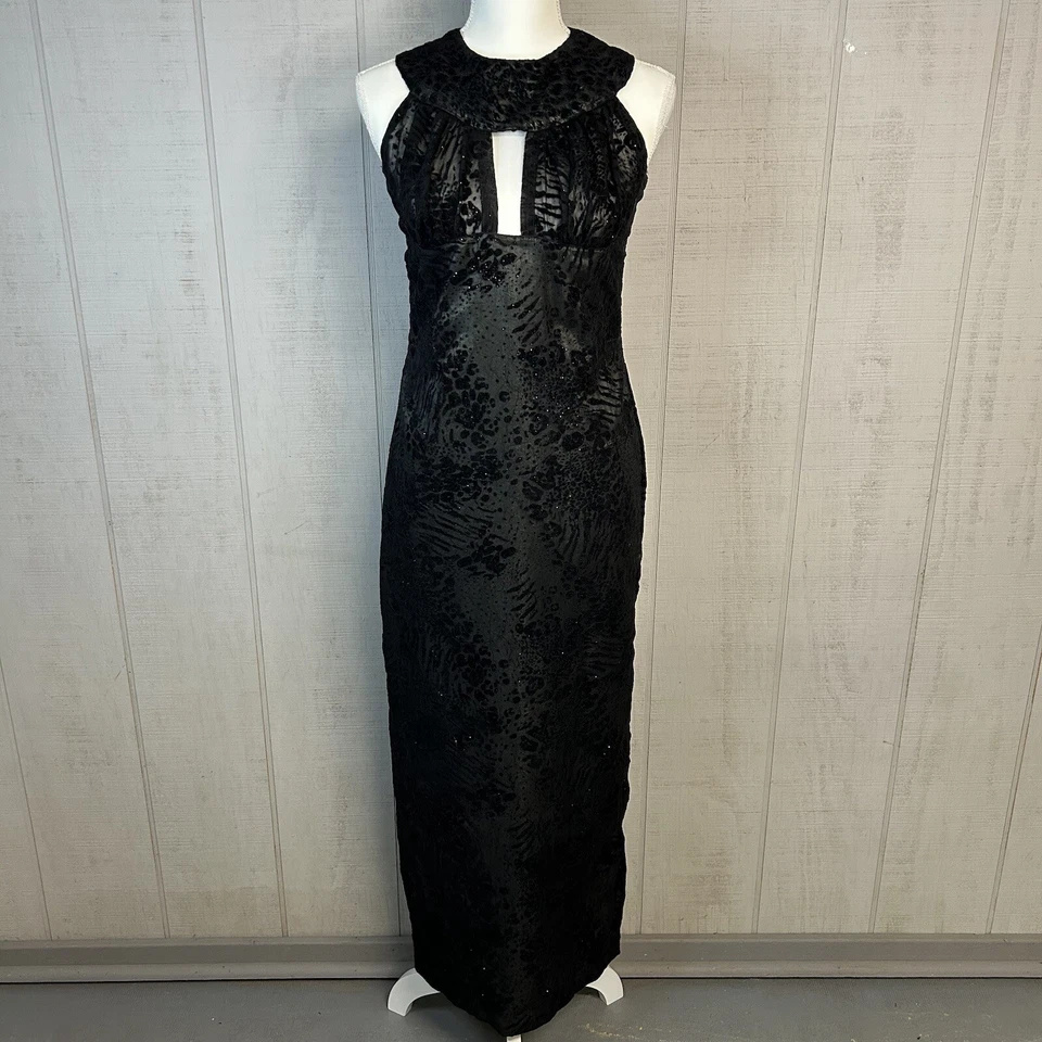 Womens Long Black Dress and Cape Sz M Sleeveless Sparkly Velvet Sheer Costume - Image 4 of 4