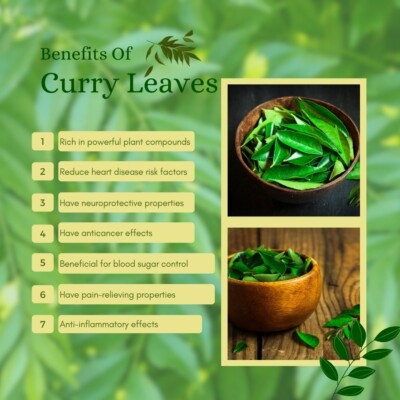 10 +Indian Curry Leaves Seeds For Plant Kadi Patta Murraya Organic