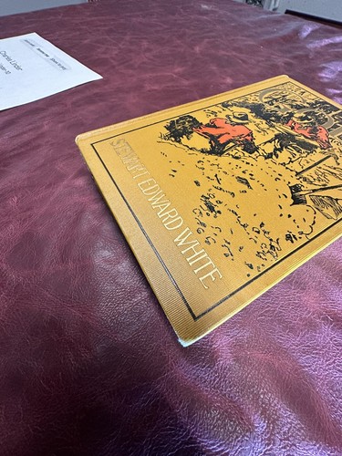 Gold by Stewart Edward White with Illustrations 1st Edition 1913 Vintage HC - Imagen 12 de 13