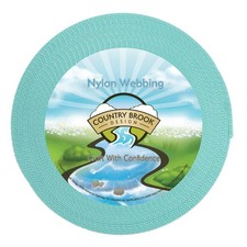 Country Brook Design  3/8 Inch Light Cyan Heavy Duty Nylon Webbing, 10 Yards