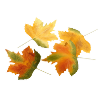HerbstbläTter AhornbläTter Herbstdeko KunstbläTter Herbstdeko 50 Cm Bunt 4 StüCk