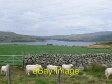 Photo 6x4 Llyn Celyn from near Bryn Ifan Llidiardau/SH8738  c2007