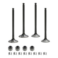 Auslassventil Einlassventil f&uuml;r Polaris Ranger Magnum Sportsman 400 425 500