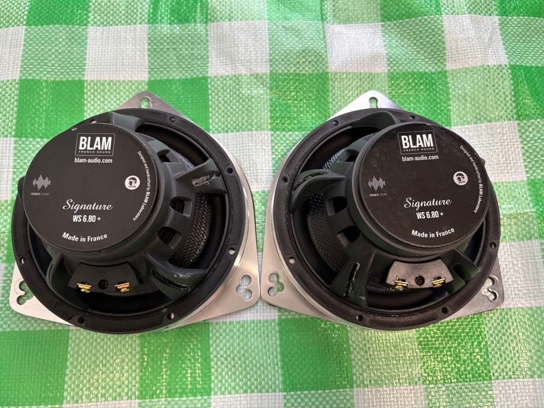 BLAM Signature WS 6.80 woofer, carbon model | eBay