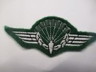 parachutist wings  germany policia GSG qualif  sous - officier — photo 1