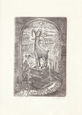 Exlibris - HELMUT ARNDT - For Karl-Heinz Wichmann - Signed - Bighorn Sheep /Book