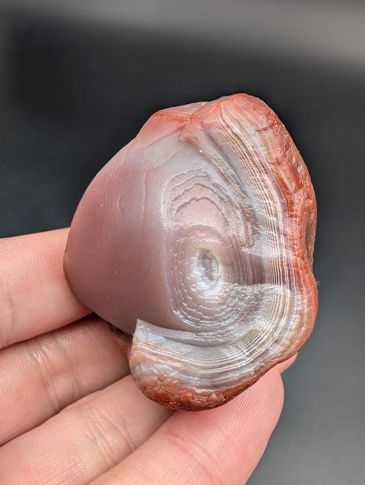 3.94 OZ WATERWASHED PEELER BEAUTY LAKE SUPERIOR AGATE GEMSTONE