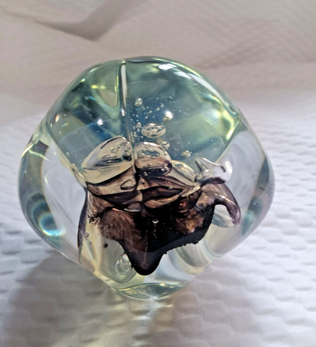 Eickholt Paperweight for sale | eBay