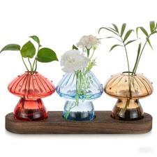 Propagation Station 3 Hydroponic Mushroom Vases with Wooden Stand for Home