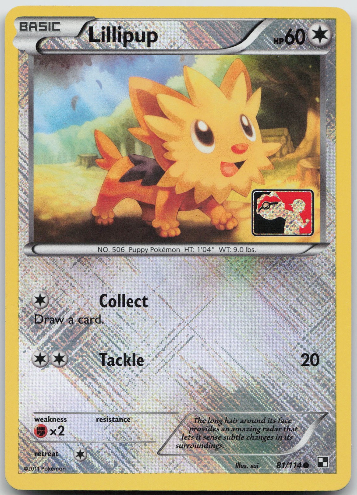 Lillipup - (League Promo) Promo League & Championship Cards 081/114 NM