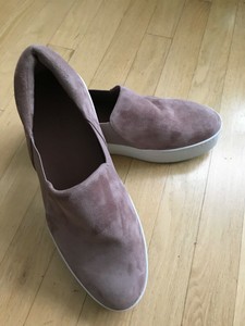 vince warren hydrangea