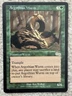 MTG Argothian Wurm URZA'S SAGA NM GREEN RARE Magic the Gathering