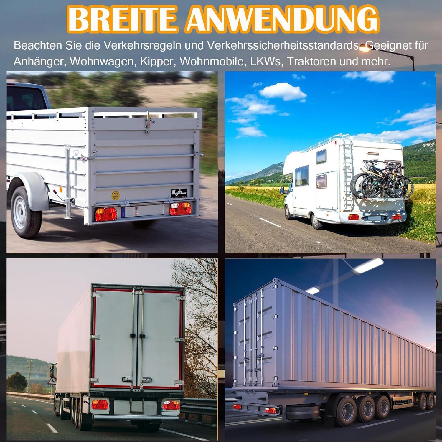 Bild 7 von 12
