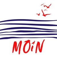 20 Servietten Moin MöWen Tiere Meer Moin Gruß Linien Wellen Schrift Deko 33X33Cm