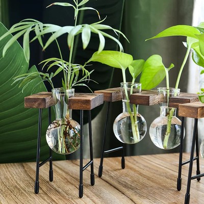 Hydrokultur Vase Glas Blumentopf modernes Dekor Tischpflanzer Blumenampel
