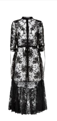 chinese dress ladies 2010 Alexander McQueen Black Crepe & Sheer Illusion Lace High-Low Gown