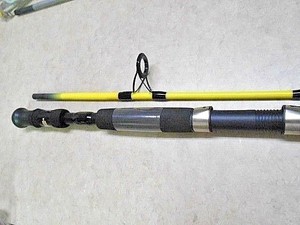 zebco hawg seeker rod