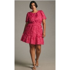 Anthropologie Somerset Mini Dress Floral Applique Pink Smocked Tiered 2X
