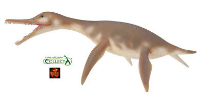 Dolichorhynchops Plesiosaurier Dinosaurier Spielzeug Modell Figur von CollectA 88520 Neu