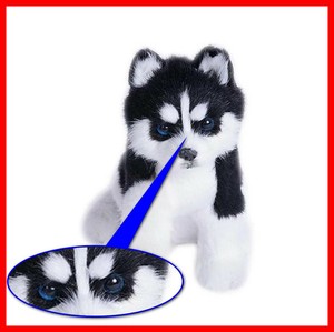 pomsky stuffed animal