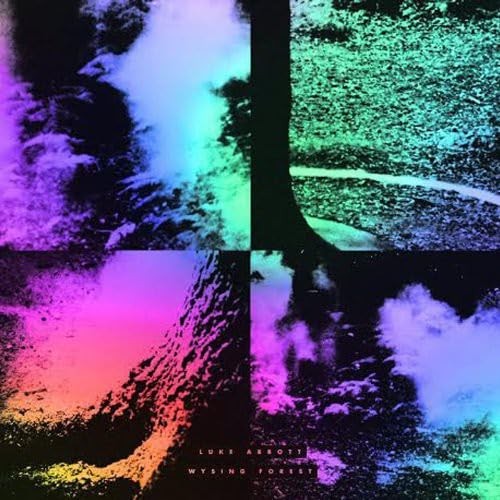 Luke Abbott Wysing Forest LP Vinyl 45BCLP NEW