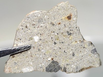 NWA 17675, Howardite, 4.21g, meteorite slice with saw cut faces, rare class
