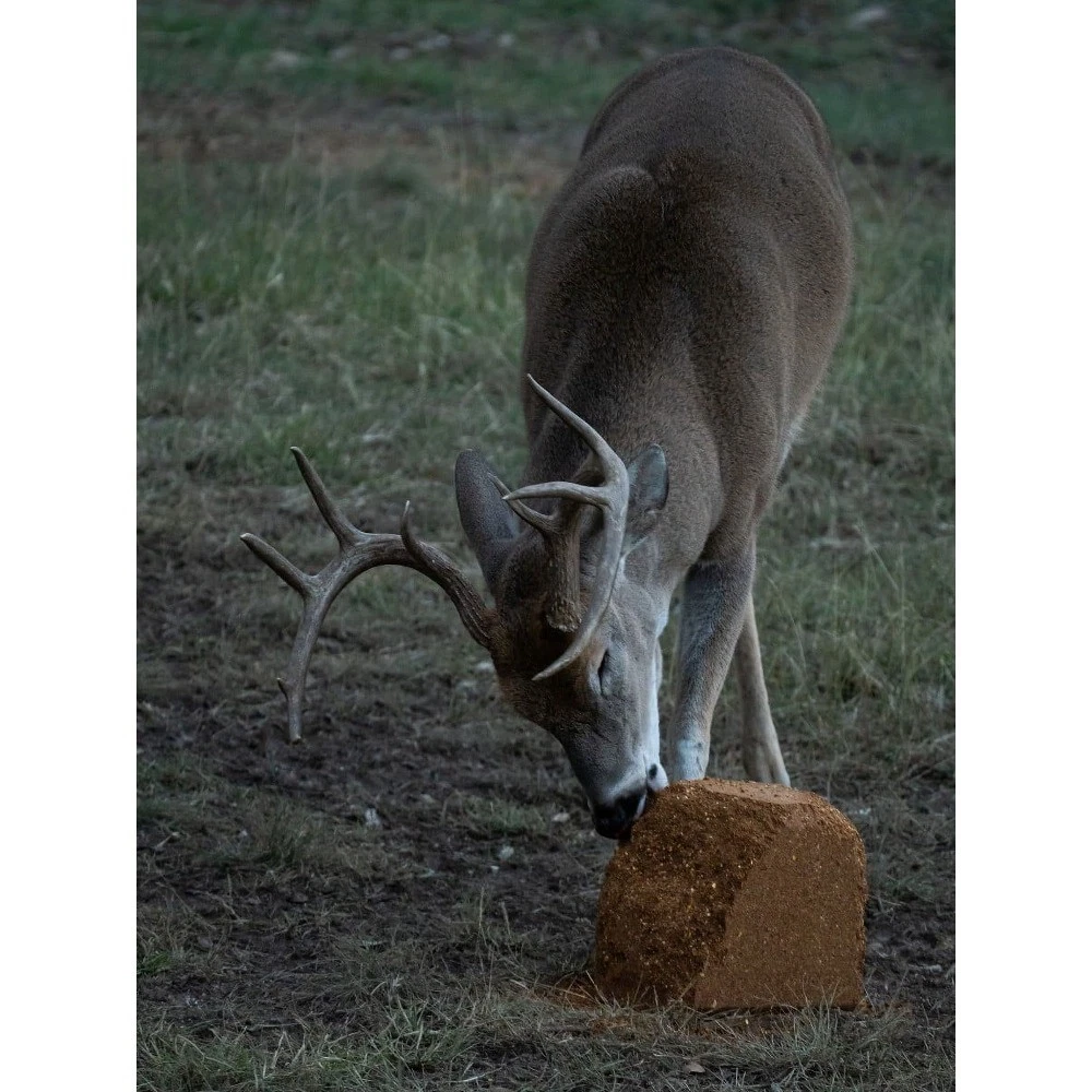 Long The Cube Range Deer Attractant Block, 25lbs - thumbnail 4
