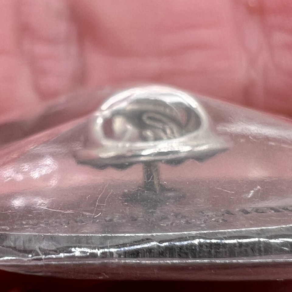 Sealed Hard To Find 2024 Fish Ohio Master Angler Award Pin Longer