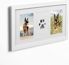 Green Pollywog Paw Print Frame Kit Paw/Nose Print Picture Frame