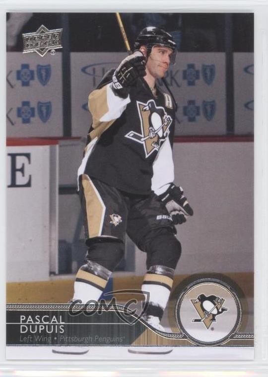 2014-15 Upper Deck Pascal Dupuis #147 d9l