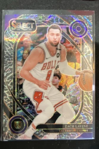 2024-25 Panini Select - Courtside Zach LaVine #249 Elephant Prizm